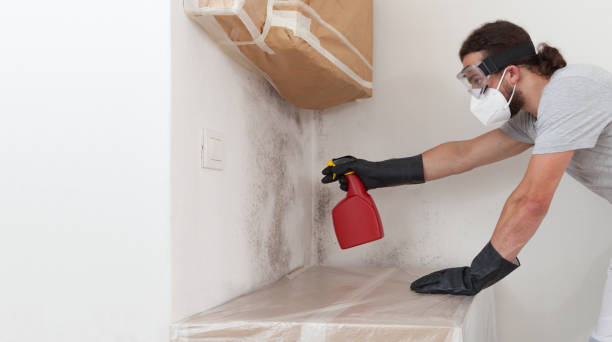 Professional Crawl Space Mold Removal technician working in Clayton, NJ