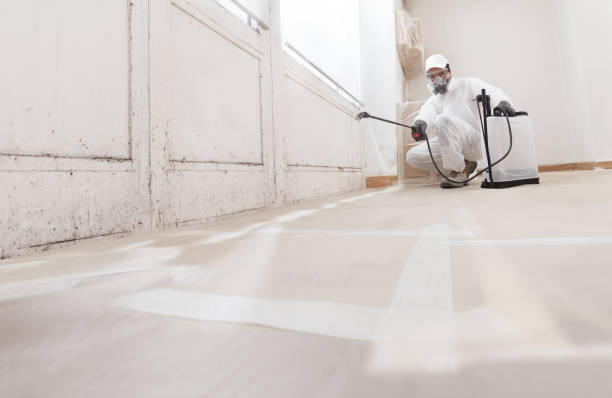 24/7 Emergency Crawl Space Mold Removal experts in Clayton, NJ