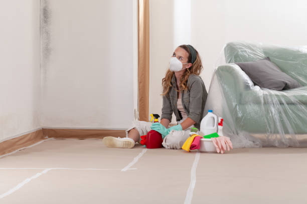 Reliable Crawl Space Mold Removal contractor in Clayton, NJ by WQB Mold Removal